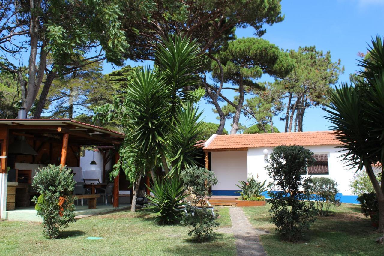 Villa Casinha Do Pinhal à Colares Extérieur photo