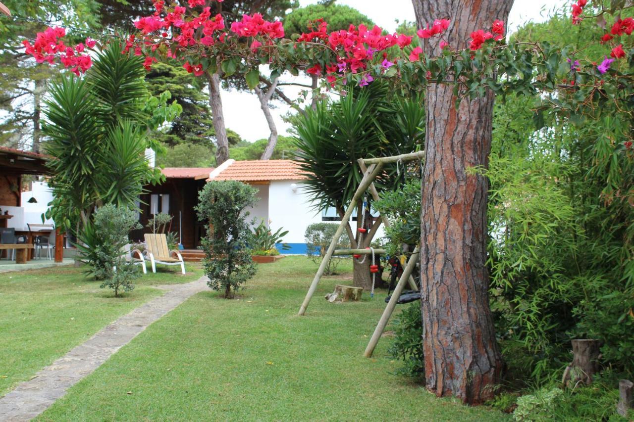 Villa Casinha Do Pinhal à Colares Extérieur photo