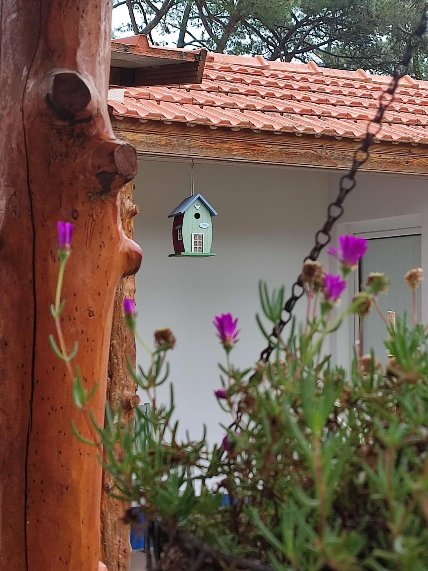 Villa Casinha Do Pinhal à Colares Extérieur photo